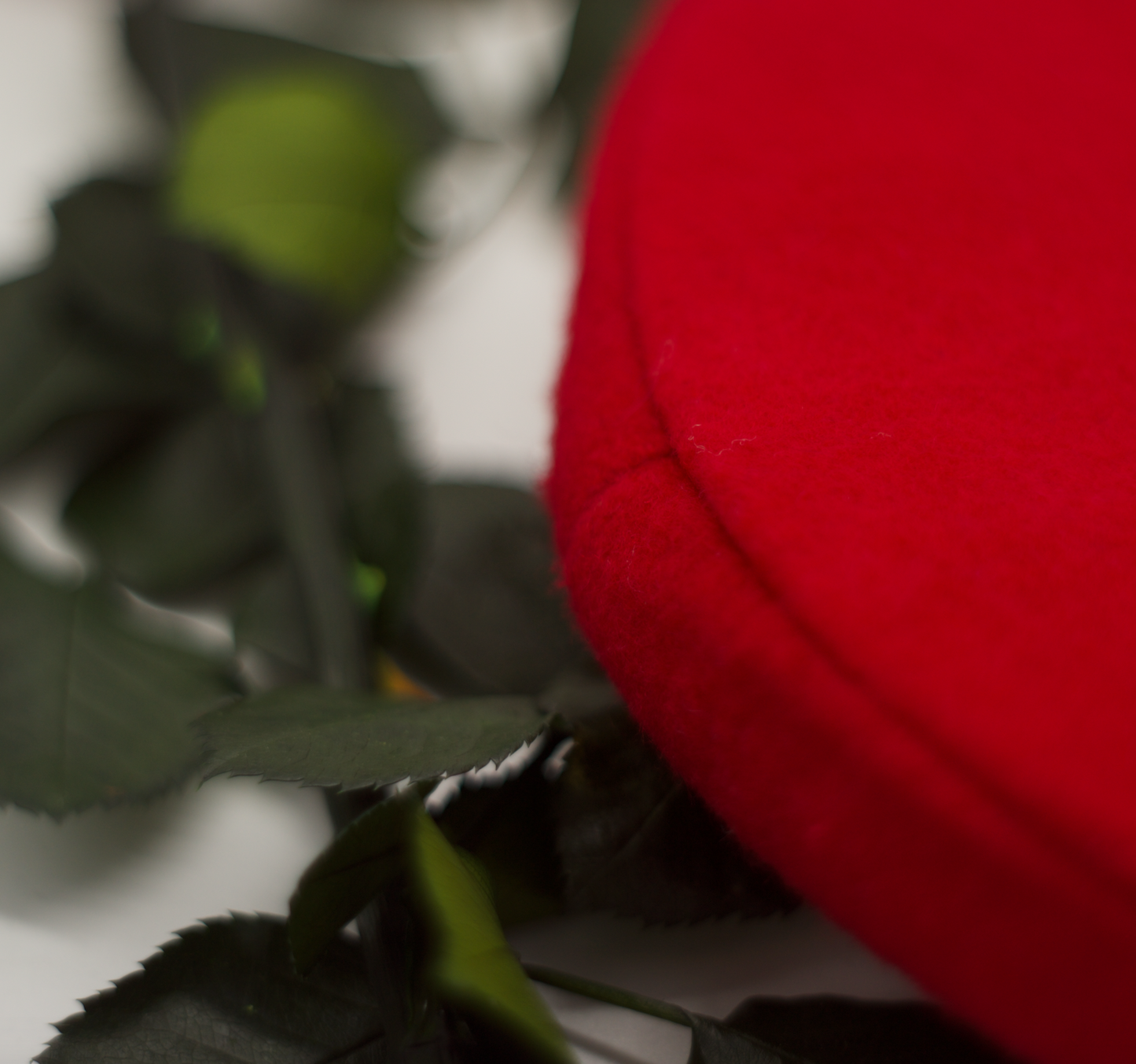 BÉRET SIMPLE LE VALENTIN